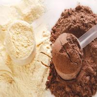 Protein Supplement Testing Services