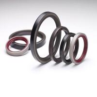 PTFE Seals Ring