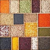 Premium Quality Pulses Different Types Highly Nutritious