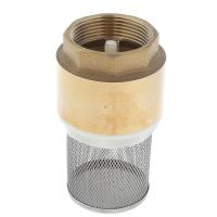 Pump Strainers Valves