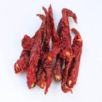 Pure Red Chilli, Every dish, flavorful, best quality