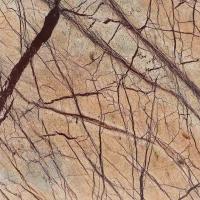 Exotic Golden Rainforest Brown Marble Medium Dark Shade