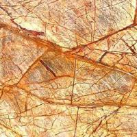 Exotic Golden Rainforest Brown Marble Medium Dark Shade