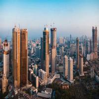 Real Estate Consultant