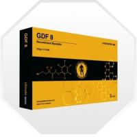 Recombinant Myostatin GDF-8 Injection, Muscle inhibitor