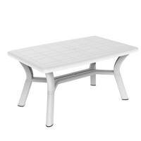 Rectangular Plastic Table, Non-Foldable, home usage