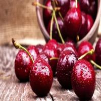 Red Cherry Fruits