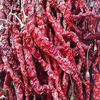 Red Dry Chilli