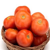 Red Fresh Tomato Image