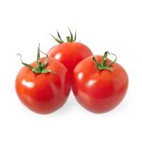 Red Fresh Tomato