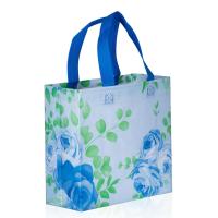Reusable Non-Woven Print Bag, Laminated, small size