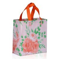 Reusable Non-Woven Print Bag, Laminated, small size