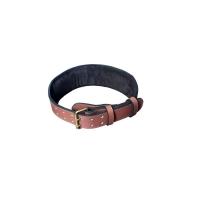 Rexine Design Belt