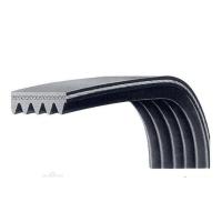 Ribbed V Belts  Image