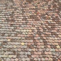 Roof Water Proofings