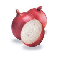 Round Raw Onion 