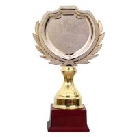 School Award Trophy