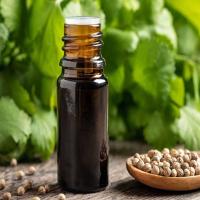 Seed Coriander Oil 