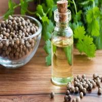 Seed Coriander Oil 