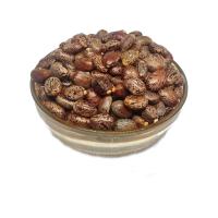 Seeds Organic Castor  Image