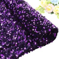 Sequins Fancy Fabric