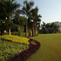 Service Landscaping Providers