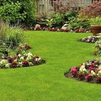 Services Garden Landscaping 