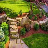 Services Landscaping Design 