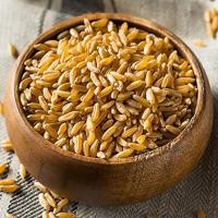Sharbati Brown Wheat