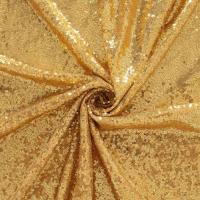 Shining Sequin Fabric