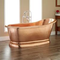 Shiny Bath Tub