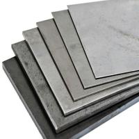 Silver MS Plate, Resistant to scratches and wear Image