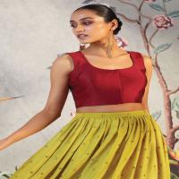 Sleeveless Choli Set