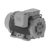 Smoke Extraction Motor