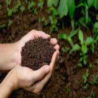Soil Conditioner