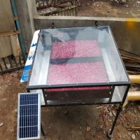 Solar Vegetable Dehydrator, 100 kg capacity, steel