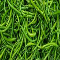 Spicy Fresh Green Chilli