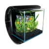 Square Fish Aquarium