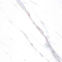 White Italian Statuario Marbles Flooring Contertops