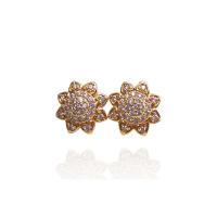 Stone Earrings Women Image