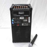 Stranger Speaker Amplifier