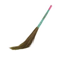 Striped Grass Broom