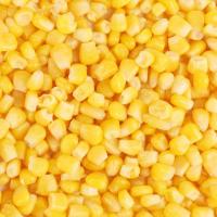 Sweet Corn Seeds