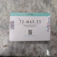 T3 Max 25, Thyroid activity enhancer types Image