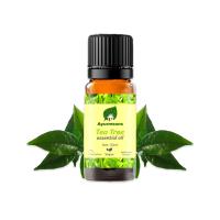 Tea Essential Oil