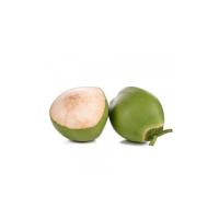 Tender Green Coconut Image