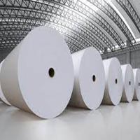 Thermal Paper Big Roll, Long-Lasting, Vibrant