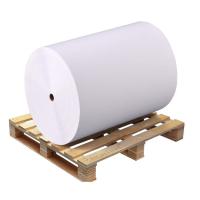 Thermal Plain Paper Jumbo Roll, Anti bacterial Image