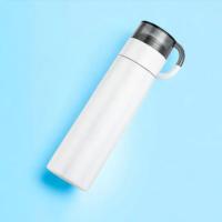 Thermal Suction Water Bottle 