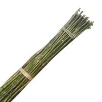 Thin Bamboo Sticks, Green color, 2.5cm tickness